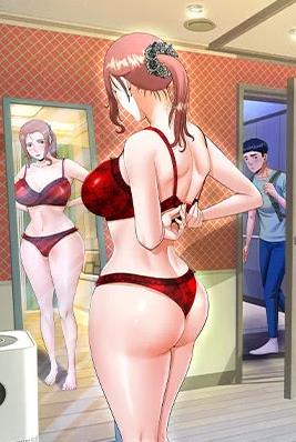 完结漫画：钢之炼金术师